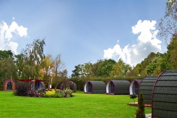 Belle Vista Glamping & Camping York Exterior photo
